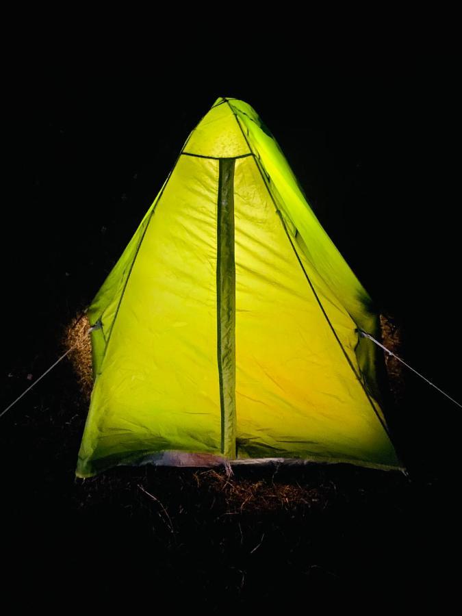 达兰萨拉 Dreamwoods A Travellers Farm旅舍 外观 照片