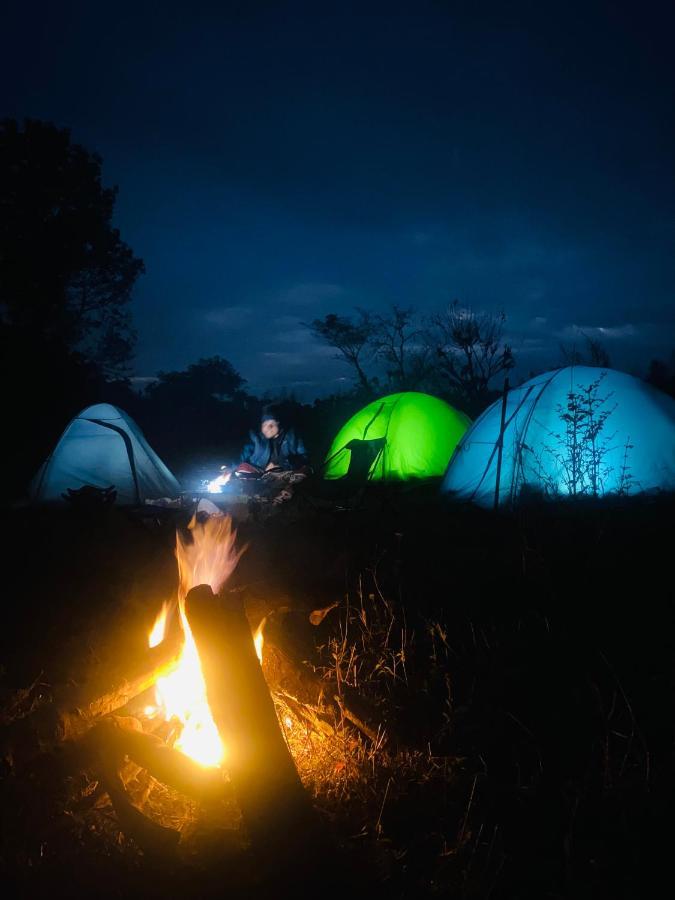 达兰萨拉 Dreamwoods A Travellers Farm旅舍 外观 照片