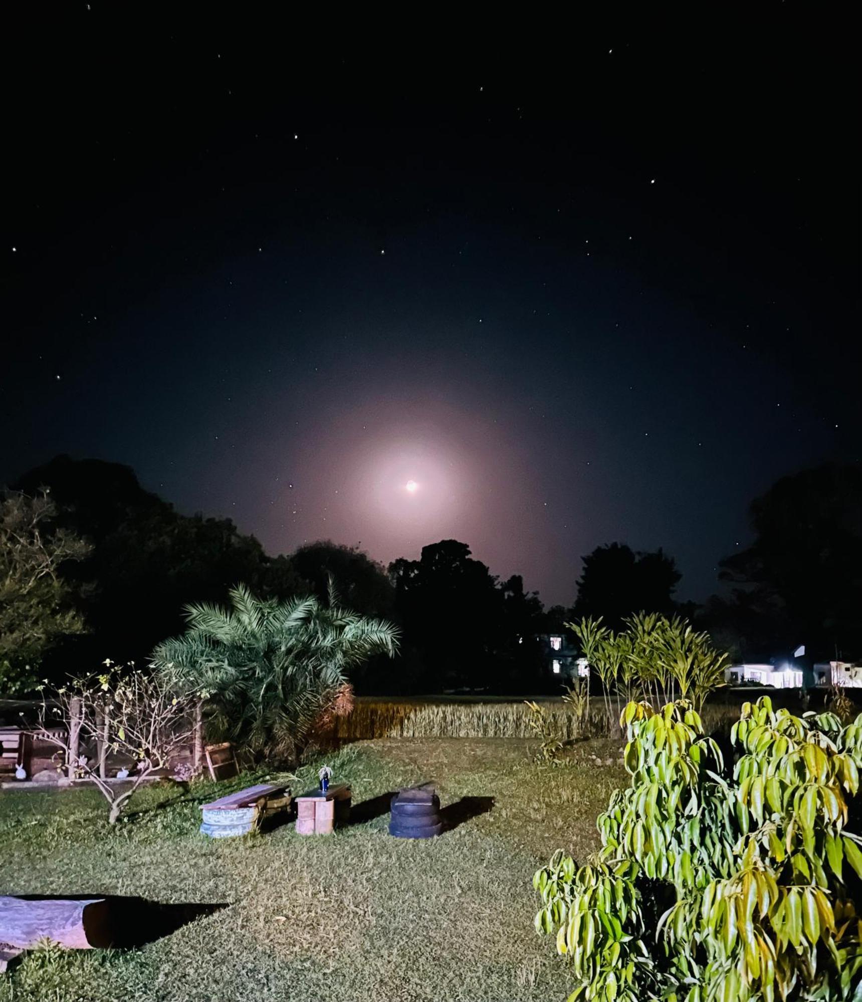 达兰萨拉 Dreamwoods A Travellers Farm旅舍 外观 照片